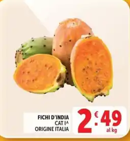 Deco Maxistore Fichi d'India offerta