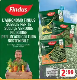Deco Maxistore Findus Primavera offerta