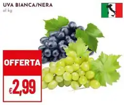 Pan Uva bianca/nera offerta