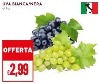 Pan Uva bianca/nera offerta
