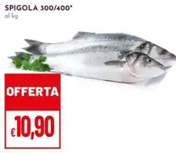 Pan Spigola 300/400* offerta
