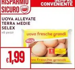 Pan Uova allevate terra medie selex offerta
