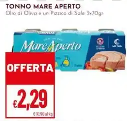 Pan Tonno Mare Aperto offerta