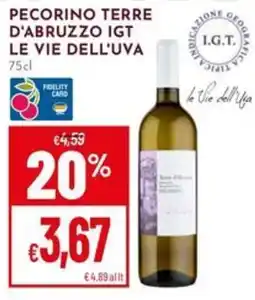 Pan Pecorino Terre d'Abruzzo IGT Le Vie dell'Uva offerta