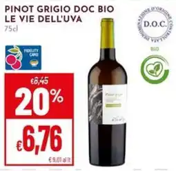 Pan Pinot grigio doc bio le vie dell'uva offerta