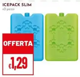 Pan Icepack slim offerta