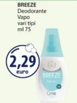 Acqua & Sapone Breeze deodorante vapo offerta