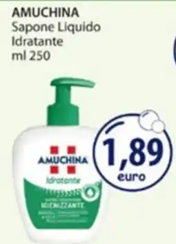 Acqua & Sapone Amuchina Sapone Liquido Idratante offerta