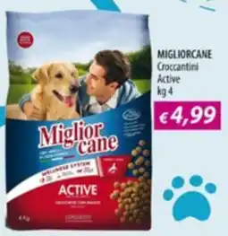 Acqua & Sapone Miglior cane Croccantini Active offerta
