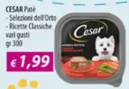 Acqua & Sapone Cesar Patè - Selezioni dell'Orto - Ricette Classiche offerta