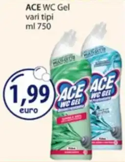 Acqua & Sapone ACE WC Gel offerta