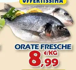Mercogel Orate fresche offerta