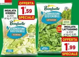 Gran mercato Bonduelle insalata iceberg offerta