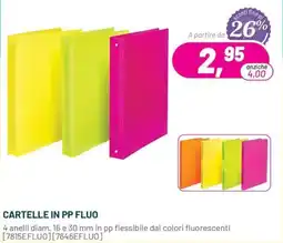 Buffetti Cartelle in pp fluo offerta