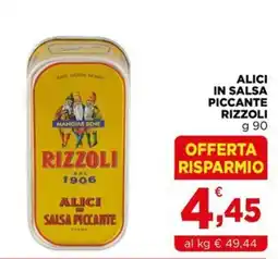 Gran mercato Alici in salsa piccante Rizzoli offerta
