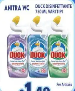 Opportunity Shop Anitra wc duck disinfettante offerta