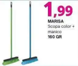Irys Scopa color + manico offerta