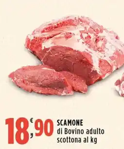 Rossotono Carrefour Scamone di Bovino adulto scottona offerta