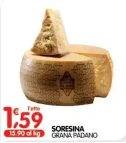 Le Delizie del Sud Soresina Grana Padano offerta