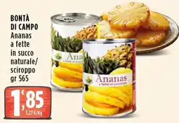 Rossotono Carrefour Bontà di campo Ananas offerta