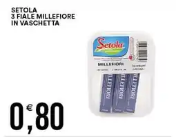 Vantaggio Cash&Carry Setola millefiori offerta