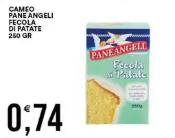 Vantaggio Cash&Carry Fecola di Patate Paneangeli offerta