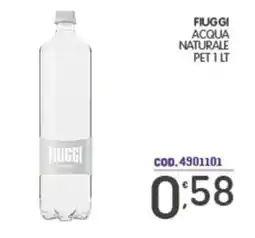 Eurocash Fiuggi acqua naturale offerta