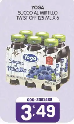 Eurocash Yoga Succo al Mirtillo offerta