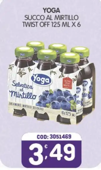 Eurocash Yoga Succo al Mirtillo offerta