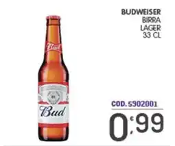 Eurocash Budweiser birra lager offerta