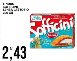Vantaggio Cash&Carry Findus Sofficini senza lattosio offerta