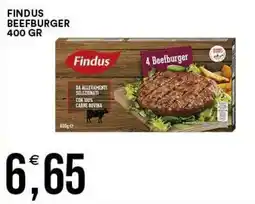 Vantaggio Cash&Carry Findus Beefburger offerta