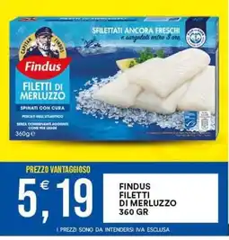 Vantaggio Cash&Carry Findus Filetti di merluzzo offerta