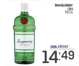 Eurocash Tanqueray London Dry Gin offerta
