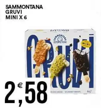 Vantaggio Cash&Carry Sammontana Gruvi Mini offerta