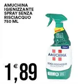 Vantaggio Cash&Carry Amuchina igienizzante spray senza risciacquo offerta