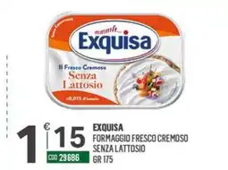 Tutto Risparmio Cash&Carry Exquisa formaggio fresco cremoso senza lattosio offerta