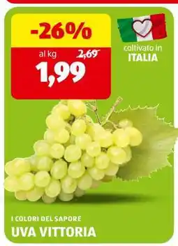 ALDI Uva Vittoria offerta