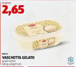 ALDI MUCCI VASCHETTA GELATO offerta