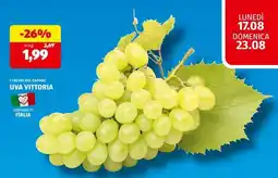 ALDI Uva Vittoria offerta