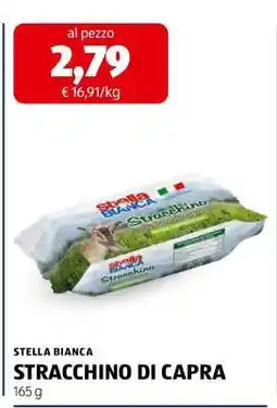 ALDI STELLA BIANCA offerta
