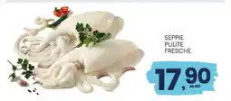 Eurospar SEPPIE PULITE FRESCHE offerta