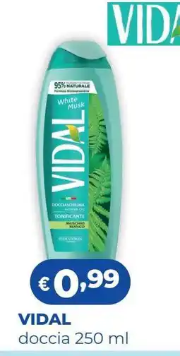 Acqua & Sapone VIDAL doccia 250 ml offerta