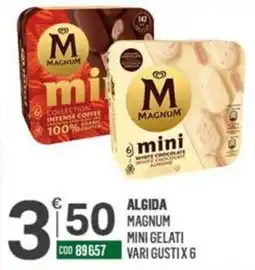 Tutto Risparmio Cash&Carry Algida Magnum mini gelati offerta