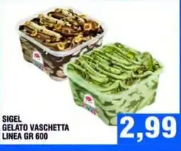 Bitar Sigel gelato vaschetta linea gr 600 offerta