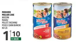 Tutto Risparmio Cash&Carry Morando Miglior Cane Bocconi offerta