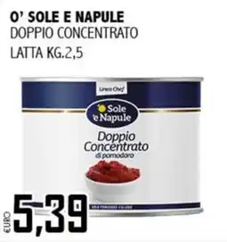 Big Food Sole e Napule Doppio Concentrato di pomodoro offerta