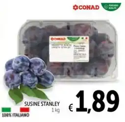 Spazio Conad Susine Stanley offerta