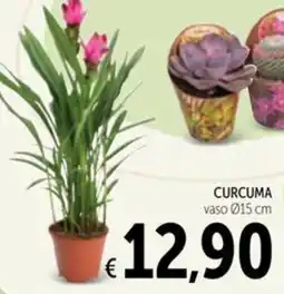 Spazio Conad Curcuma offerta
