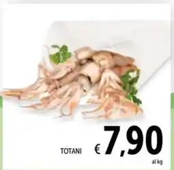 Spazio Conad Totani offerta